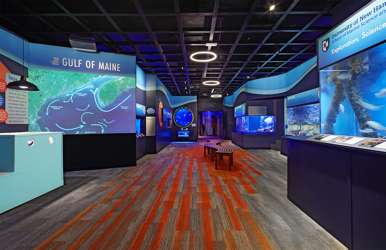 The main entrance view of the Seacoast Science Center's new Gulf of Maine exhibit