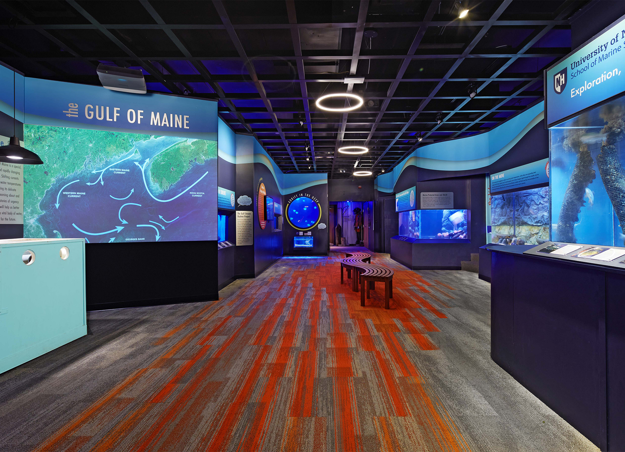 The main view of our Gulf of Maine Exhibit at the Seacoast Science Center in Rye, New Hampshire 